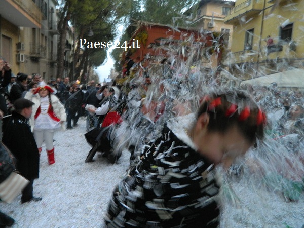 DSCN9138