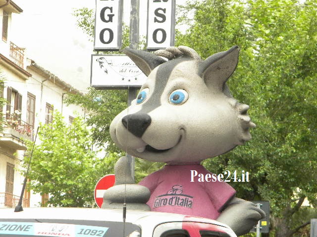 DSCN3528