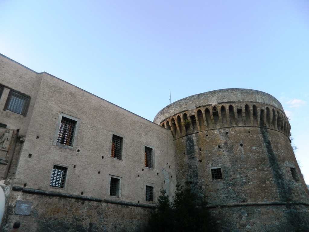 DSCN3731